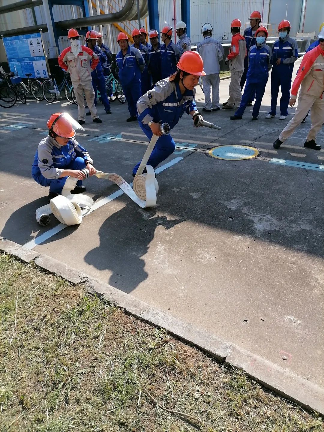 1690338555570660.jpg 640.jpg